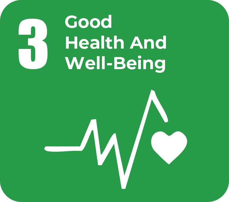 SDG 3 Good Health and Well-Being icon representing improved public health and safety